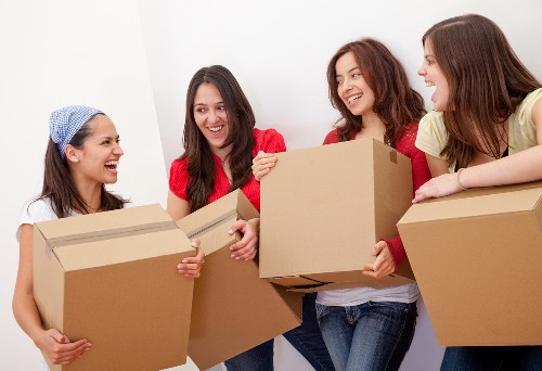 Seasonal and household storage options for Hainault residents